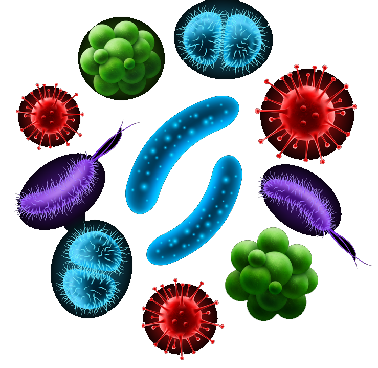 sign of need air duct cleaning