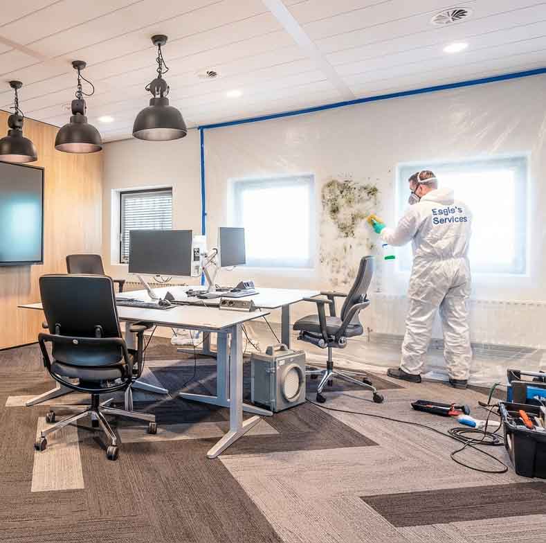 Mold Removal Services